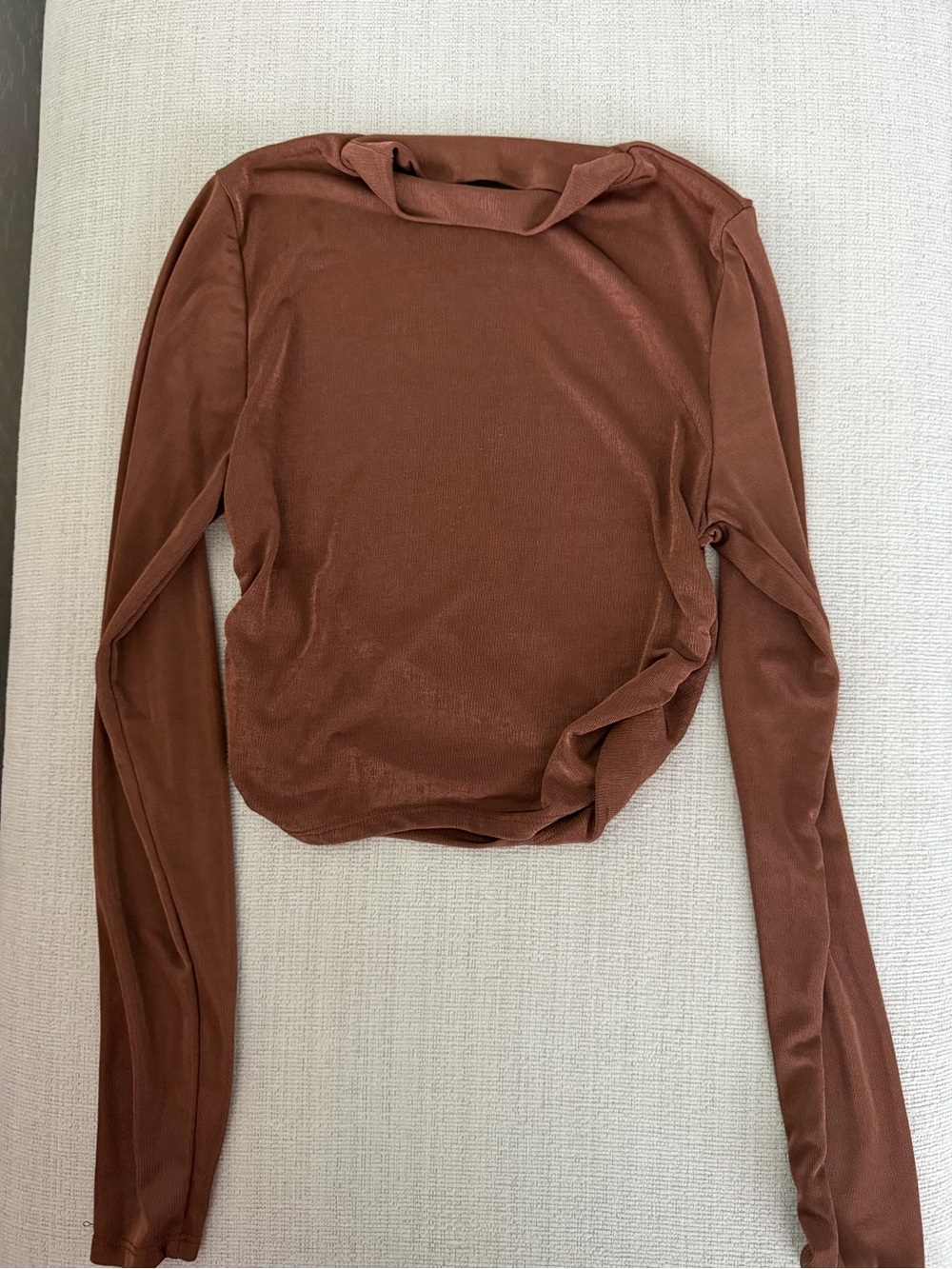 Electric Family Long Sleeve Crew Top in Rust Brown
